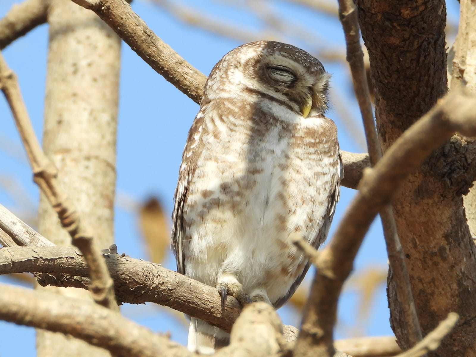 Diu coastal fort under warm light